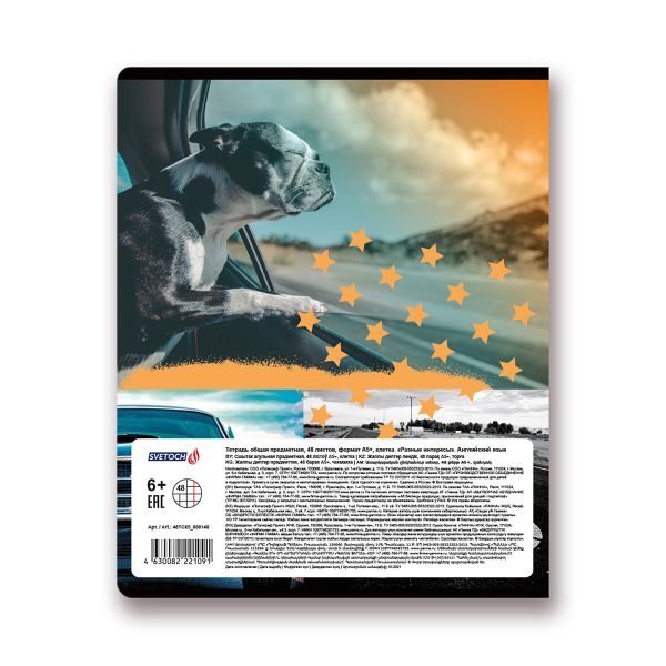 Тетрадь предметная Разные интересы A5+ 48 л. на скобе, 10 шт, клетка, Английский язык 48ТСК5 000148, Светоч