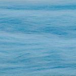 Шерсть для валяния Троицкая тонкая 1х100 г (до 23 мкр), 519 венерин башмачок