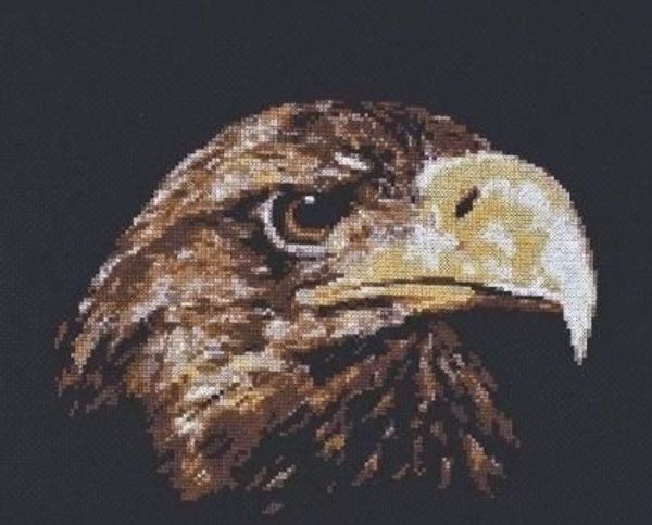 Набор для вышивания нитками Палитра, Взгляд орла 26х22 см
