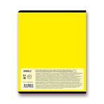 Тетрадь предметная Время действовать A5+ 48 л. на скобе, 10 шт, клетка, История 48ТСК5 000140, Светоч