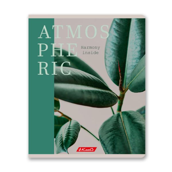 Тетрадь ученическая общая, A5+ 96 л. на скобе 60 г/м², белизна 100%, 5 шт, клетка в термоусадочной пленке, 000767 Атмосферная, Светоч 96ТЕТк-001