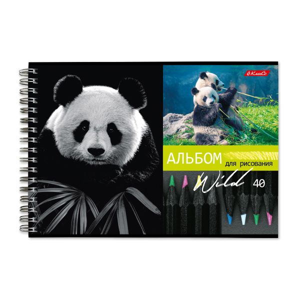 Альбом для рисования, 100 г/м², A4 29х20.5 см, на гребне 40 л., 6 шт, 40АЛГР4_000244 Саванна, Светоч