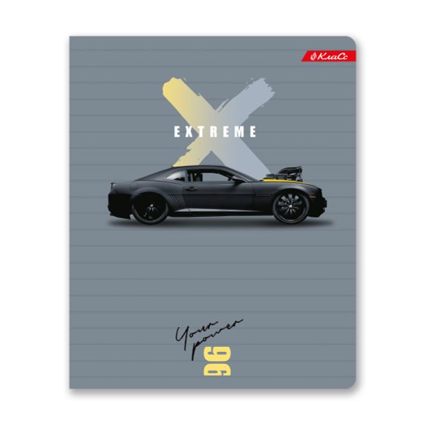 Тетрадь ученическая общая, выборочный лак, A5+ 96 л. на скобе, белизна 100%, 5 шт, клетка, 000344 Экстрим, Светоч 96ТСК5_4_3_1