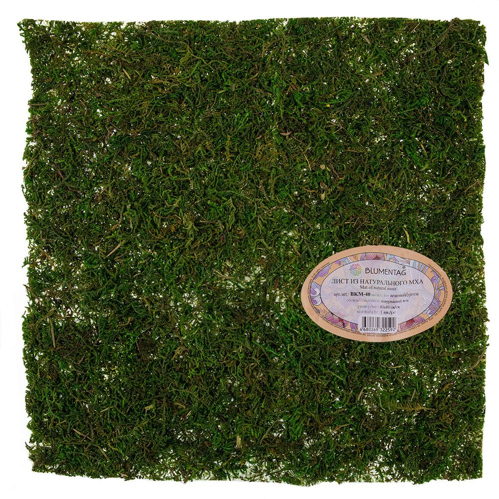 Лист из натурального мха 40 см, зеленый, Blumentag BKM-40