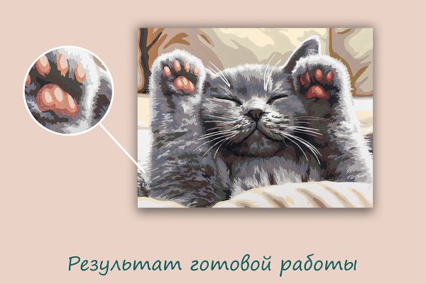 Картина по номерам Фрея PNB/PM-373, Нежные лапки, 40х30 см