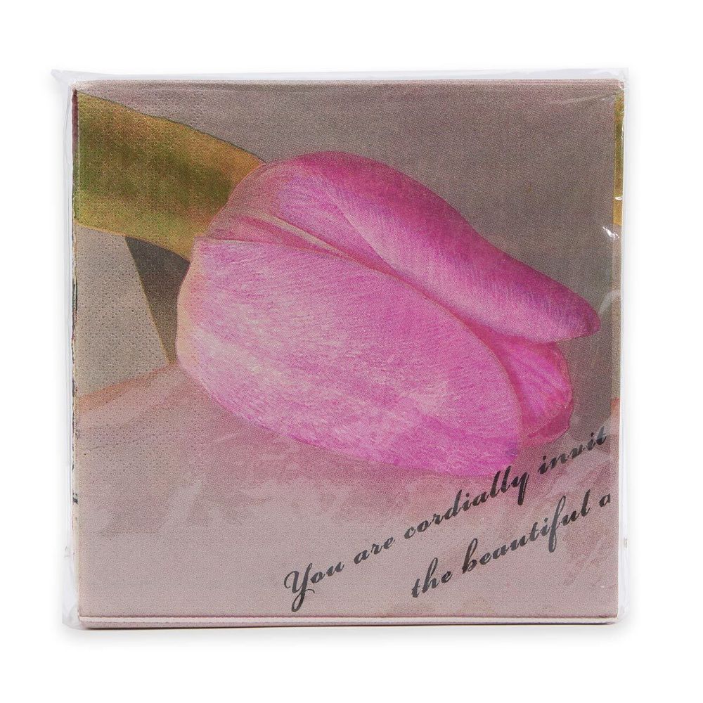 Салфетки 33х33см, 3-х слойные AY, 20 шт/упак (AY-1665)