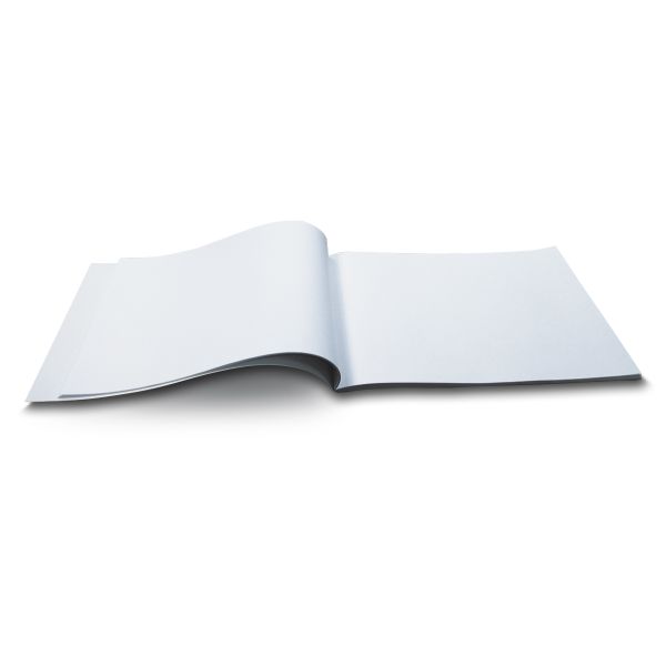 Альбом для рисования 100 г/м², A4 29.5х20.2 см, 24 л. на скобе 5 шт, 01697 Сказочный пейзаж, Светоч А254