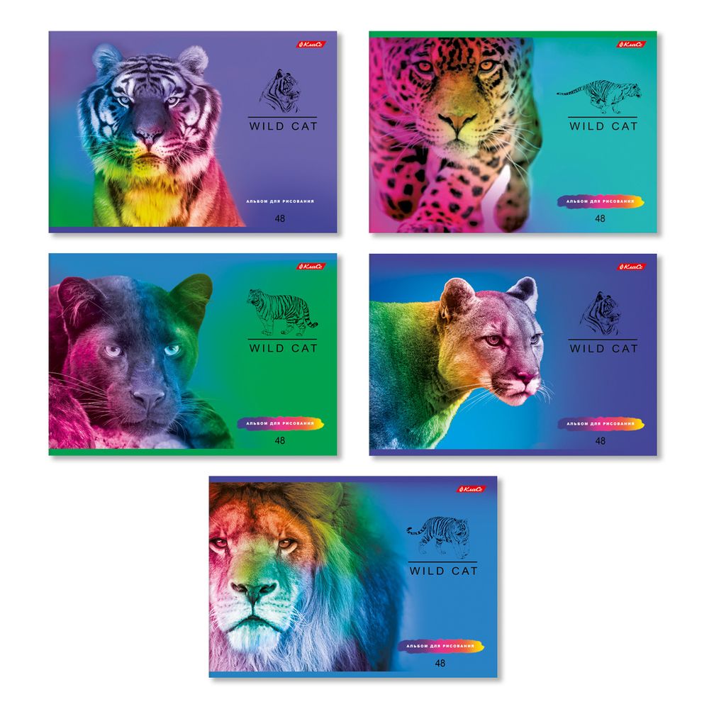 Альбом для рисования 100 г/м², A4 29х20.5 см, 48 л. на скобе, 5 шт, 000268 Большие кошки, Светоч 48АЛСК4_1_3_9