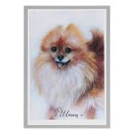 Набор для валяния (живопись цветной шерстью) "Шпиц" 21x29,7см (А4)