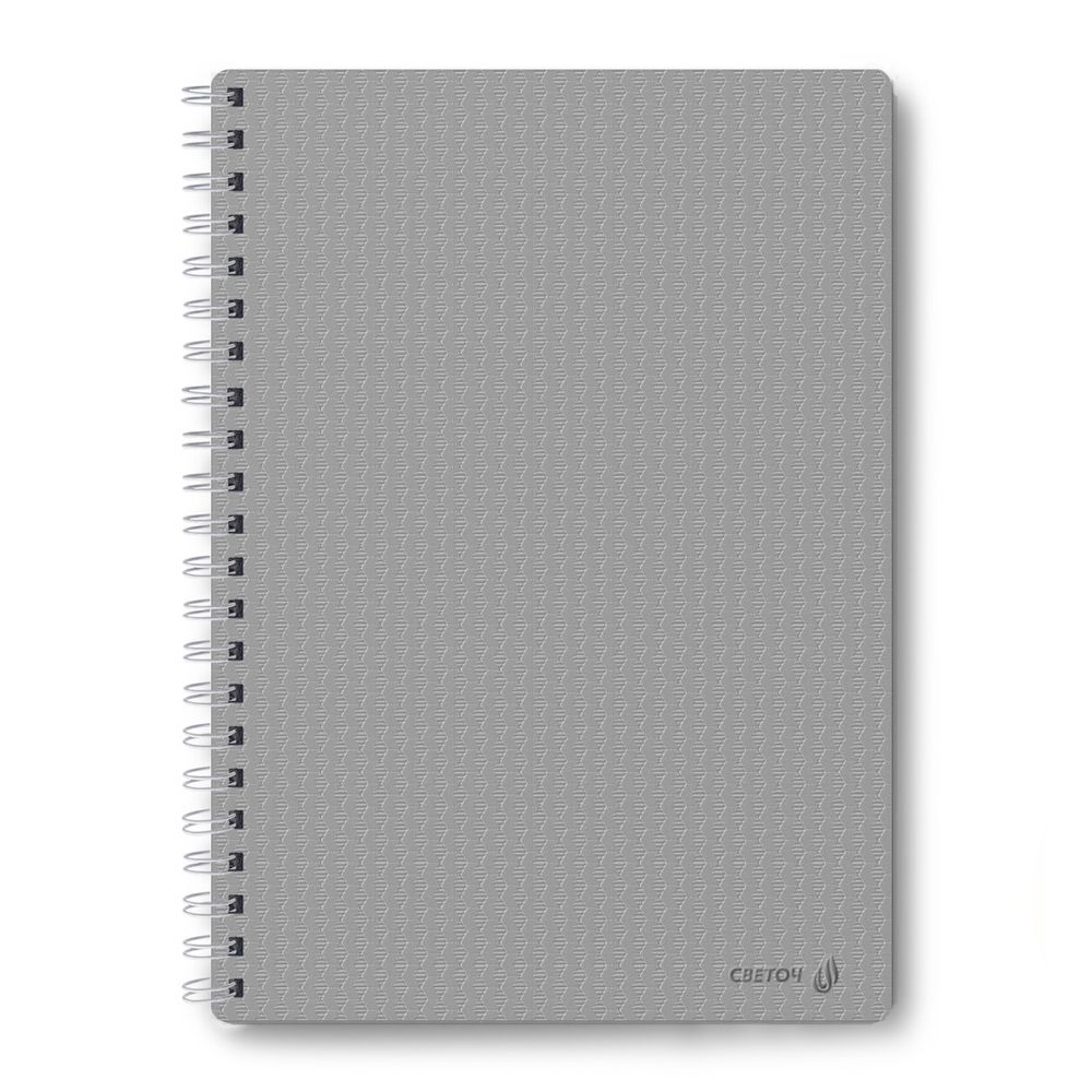 Тетрадь общая с пластиковой обложкой, тиснение серебряной фольгой, 500 мкр, A4 80 л. на гребне 65 г/м², белизна 100 %, 4 шт, клетка, 01035 Серебро, Светоч 80Т27