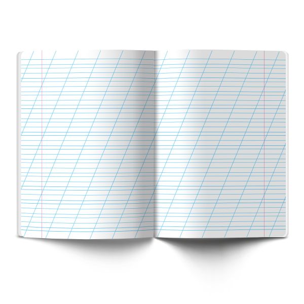 Тетрадь ученическая школьная Классная A5+ 12 л. на скобе 65 г/м², белизна 100%, 25 шт, косая линия с доп. горизонтальной, 000291 Зеленая, Светоч 12ТСК5_1_1_8