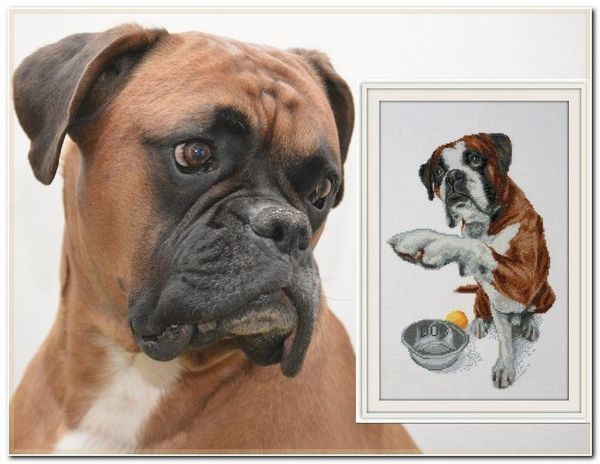 Набор для вышивания нитками Палитра, Давай дружить! 19х30см