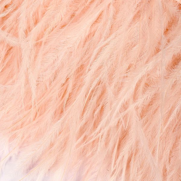 Перья на ленте Страус 8 см, FBY-08-122, цв. кремовый, 2м