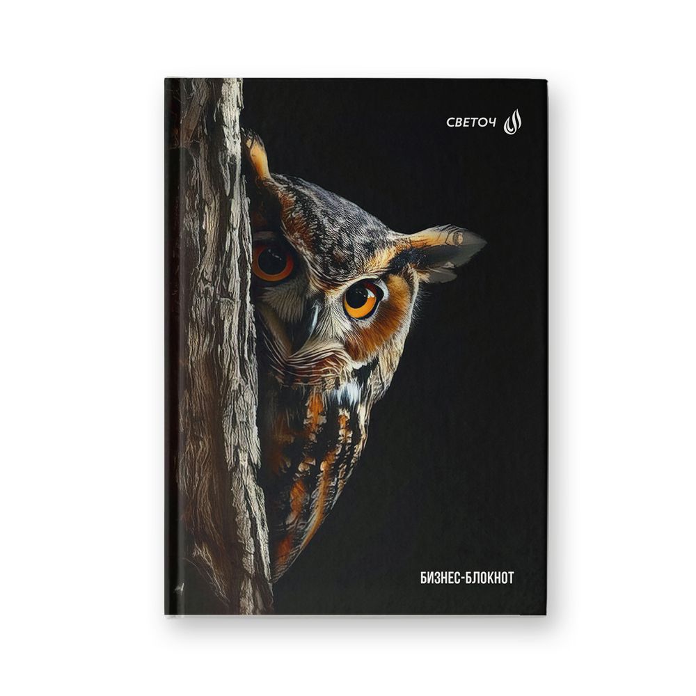 Бизнес-блокнот, мат.ламин.+выбор.лак, блок кремовый, ББ246 евроформат (14.4х20.3х1.6 см) 64 л. 4 шт французская клетка, Сова - мудрая голова 01673, Светоч
