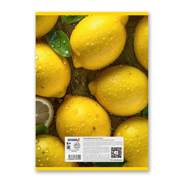 Тетрадь ученическая общая, выборочный лак, A4 96 л. на скобе 65 г/м², белизна 100 %, 6 шт, клетка, 01356 Солнечная, Светоч Т157