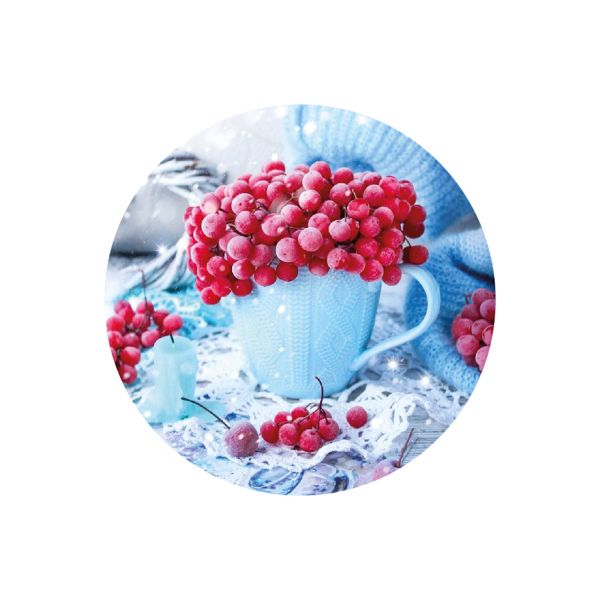 Игольница магнитная Зимний букет 25х3 мм, ИГ-2405, Hobby&Pro