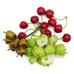 Набор декоративных фруктов, муляж №4