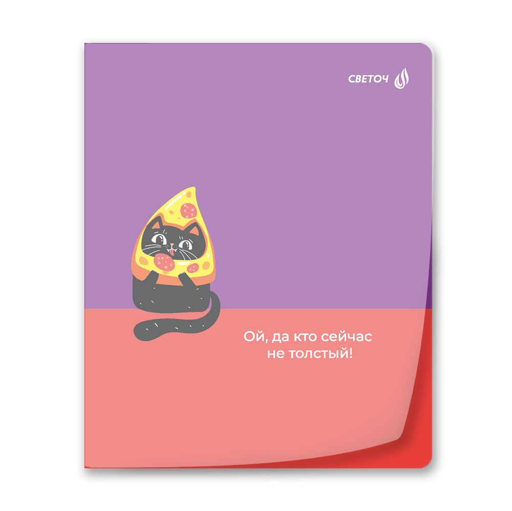 Тетрадь общая с пластик. прозр. обложкой 180 мкм, цвет.запечат.титул лист A5 48 л. на скобе 65 г/м², белизна 100% 10 шт клетка, 01500 Поднимаем настроение, Светоч Т197