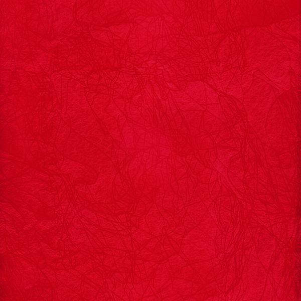 Папка-конверт на ZIP-молнии A5+ 180 мкм волокно, 10 шт, красный ЕС211230045, Expert Complete ЕС211230045