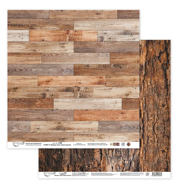 Бумага для скрапбукинга Вокруг меня. Коричневый 190 г/м², 30.5х30.5 см, 10 шт, 6, Mr.Painter PSR 210807