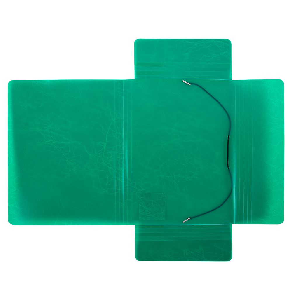 Папка на резинке A4 600 мкм 35 мм, волокно, 5 шт, зеленый new EC21043003, Expert Complete