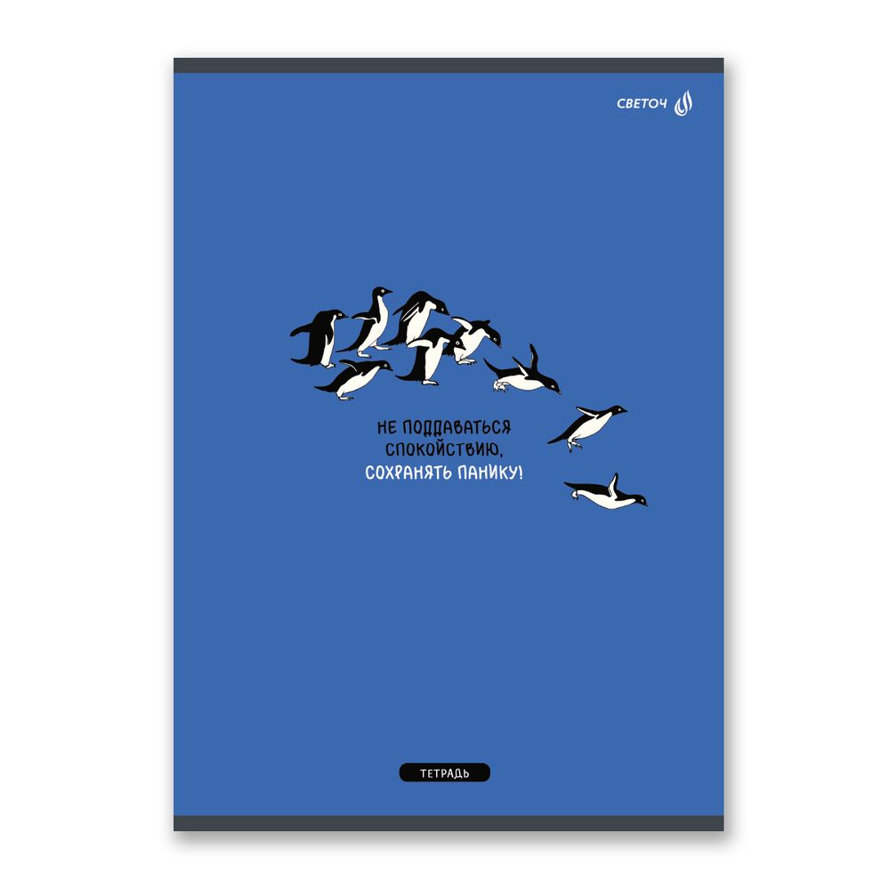 Тетрадь ученическая общая, A4 96 л. на скобе 65 г/м², белизна 100 %, 6 шт, клетка, 01354 Тонкий юмор, Светоч Т156