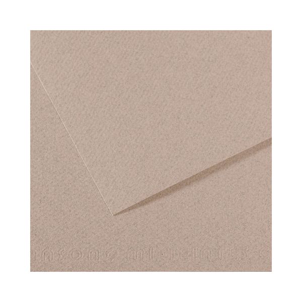 Бумага для пастели 160 г/м², 75х110 см, 25 листов, №426 светло-серый, Canson Mi-Teintes C200331427