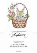 Набор для вышивания нитками Сделай своими руками, Весенний кролик, 11х13 см