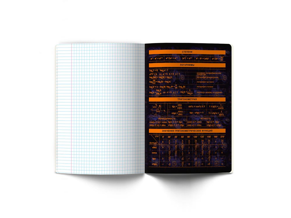 Тетрадь со справочным материалом Эволюция, глянцевая ламинация, A5+ 48 л. на скобе 65 г/м², белизна 100%, 10 шт, клетка, 00875 Алгебра, Светоч 48Т5