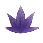 Молд Пион лист большой