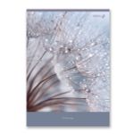 Тетрадь ученическая общая, A4 96 л. на скобе 65 г/м², белизна 100 %, 6 шт, клетка, 01351 Утренняя роса, Светоч Т156