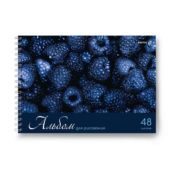 Альбом для рисования 100 г/м², A4 29.5х21 см, 5 шт на гребне 48 л, 01622 Ярко - синий мир, Светоч А234