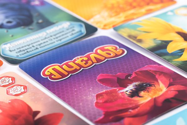 Игра настольная Пчелы. Тайное королевство, Эврикус BG-17040