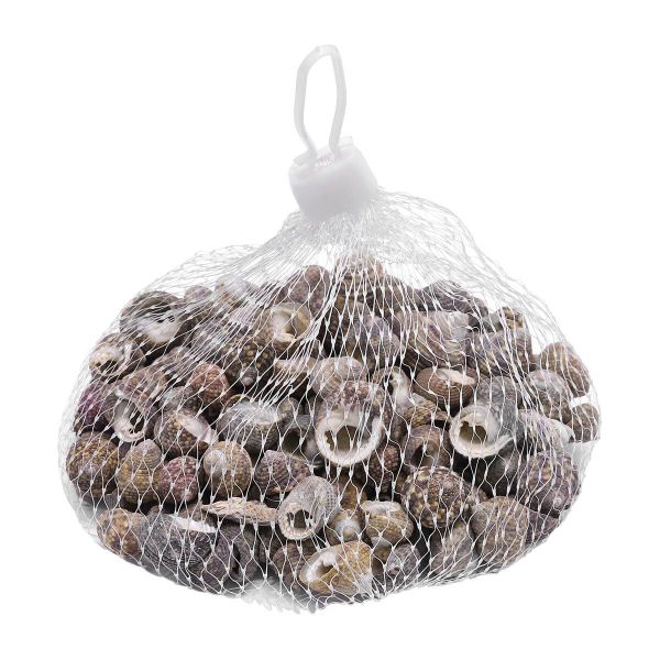 Ракушки декоративные 100гр, 2AR122