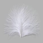 Перья декоративные 5-10см, 25 шт, H-81 белый
