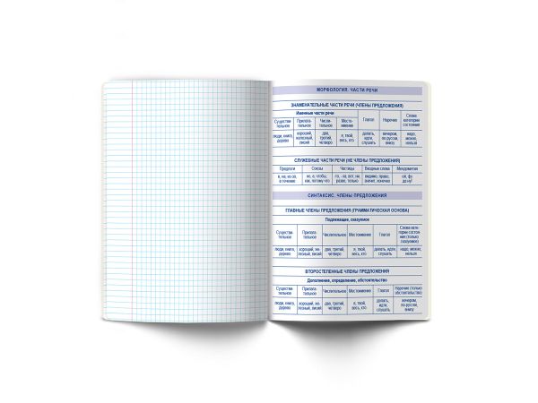 Тетрадь со справочным материалом Скучно не будет!, выборочный лак, A5+ 48 л. на скобе 65 г/м², белизна 100%, 10 шт, линия, 000541 Русский язык, Светоч 48ТПСКс5_4_2_2