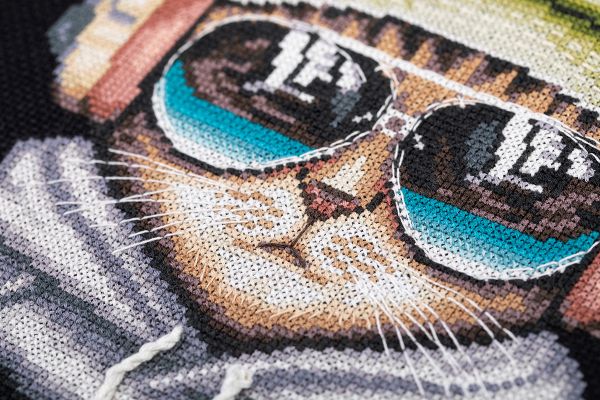 Набор для вышивания нитками Panna, Меломан Стенли, 22.5х18 см