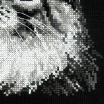 Набор для вышивания нитками Риолис, Мейн-кун 21х30 см набор