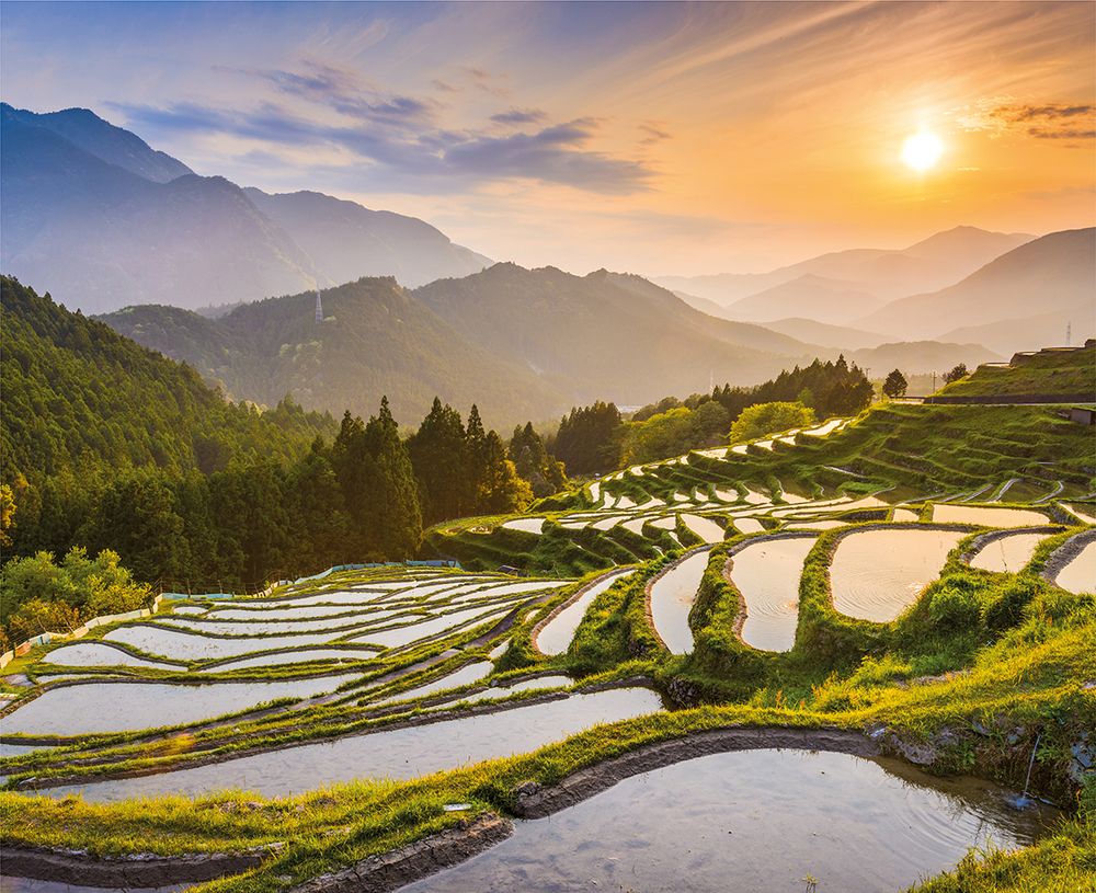 Картина по номерам Фрея PCF-09, Рассвет на рисовых полях, холст с подрамником, 50х40 см