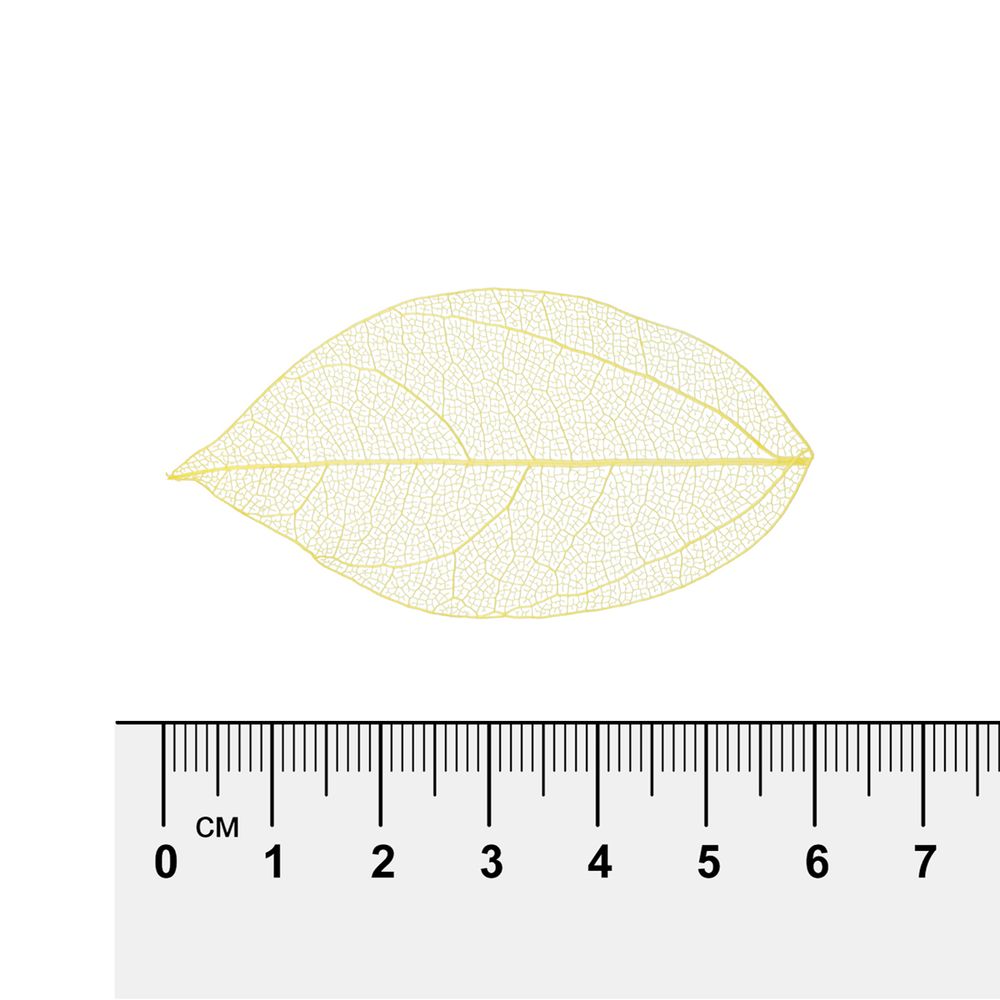 Листья скелетированные 2-6 см, 50 шт (5х10 шт), 02 желтый, Mr.Painter SFL-01