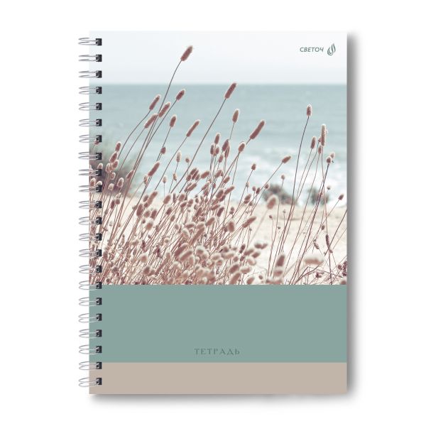 Тетрадь ученическая общая, A4 96 л. на гребне 65 г/м², белизна 100 %, 4 шт, клетка, 01252 Безграничность, Светоч Т129