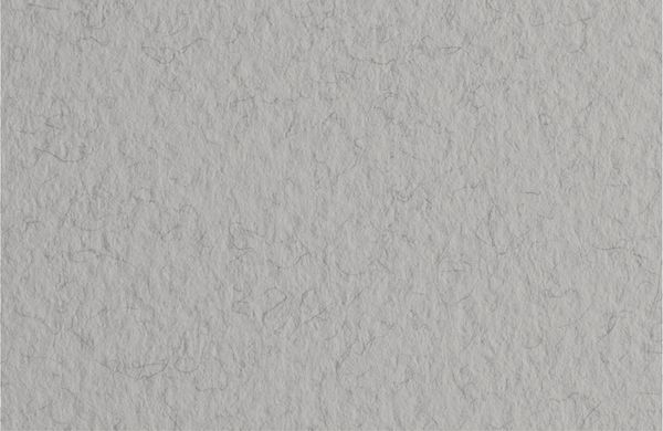 Бумага для пастели 160 г/м², 70х100 см, 10 листов, Nebbia/Серый холодный, Fabriano