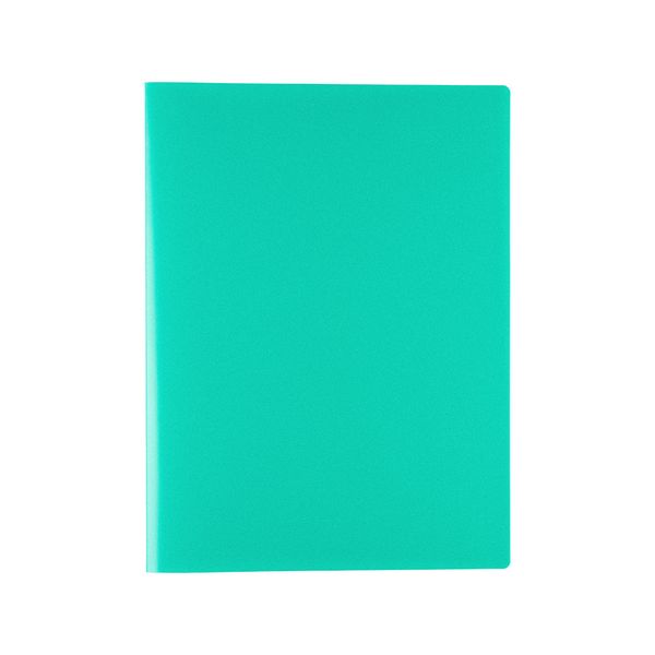 Папка с вкладышами 30 л. A4 500 мкм 15 мм, песок, 6 шт, зеленый ЕС2701303, Expert Complete