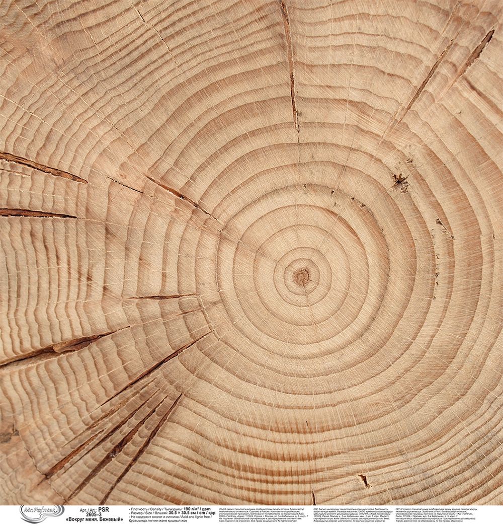 Бумага для скрапбукинга Вокруг меня. Бежевый 190 г/м², 30.5х30.5 см, 10 шт, 3, Mr.Painter PSR 2605