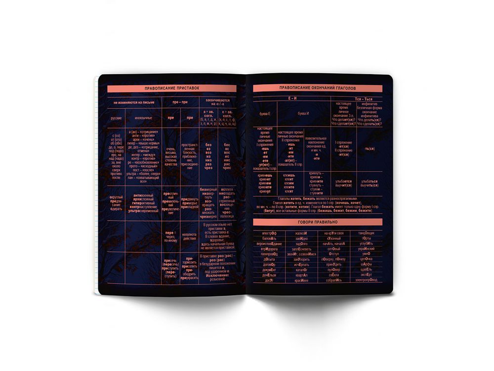 Тетрадь со справочным материалом Эволюция, глянцевая ламинация, A5+ 48 л. на скобе 65 г/м², белизна 100%, 10 шт, линия, 00882 Русский язык, Светоч 48Т4