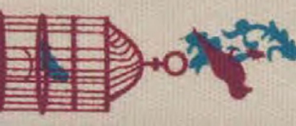 Лента хлопковая на картонной мини-катушке Клетка для птиц, Hemline