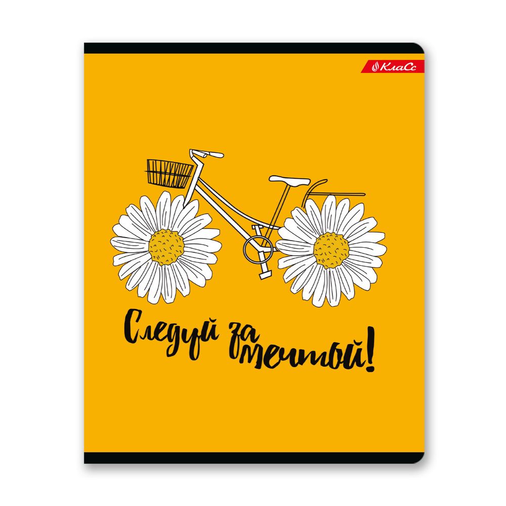 Тетрадь ученическая общая, выборочный лак, A5+ 48 л. на скобе, белизна 100%, 10 шт, клетка, 000316 В лето за мечтой, Светоч 48ТСК5_4_3_1