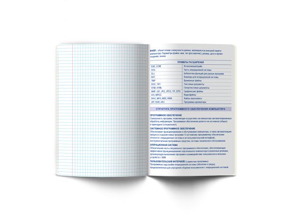 Тетрадь со справочным материалом ПреКрасная, матовая ламинация + выборочный лак, A5+ 48 л. на скобе 65 г/м², белизна 100%, 10 шт, клетка, 000556 Информатика, Светоч 48ТПСК5_24_2_1