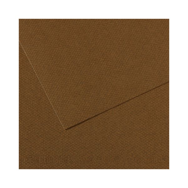 Бумага для пастели 160 г/м², 75х110 см, 25 листов, №501 коричневый табак, Canson Mi-Teintes C200331487