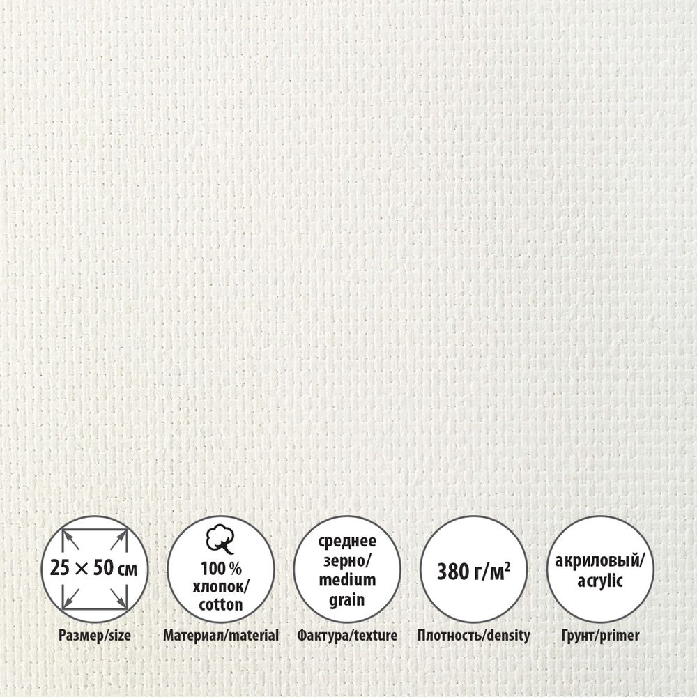 Холст грунтованный на подрамнике 25х50 см, 380 г/м², 2 шт, Трубежской среднезернистый, Vista-Artista ACMG-2550